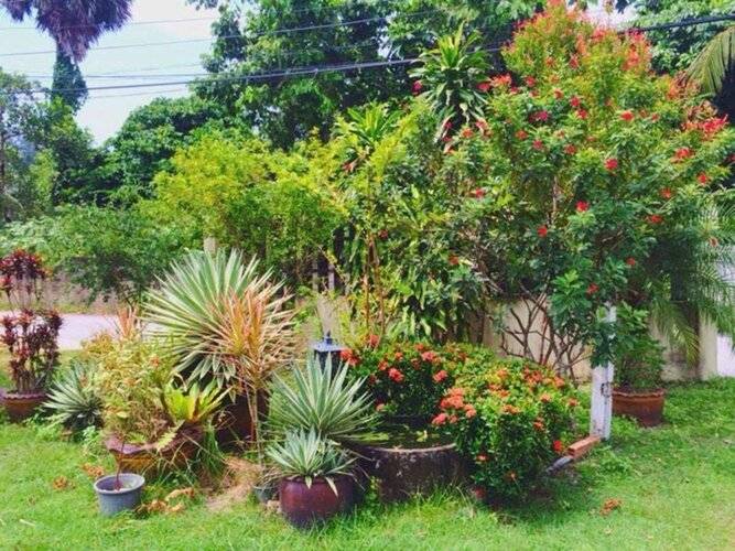 Ron's Bungalow