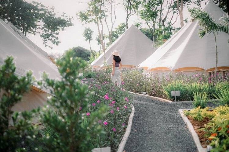 Roost Glamping