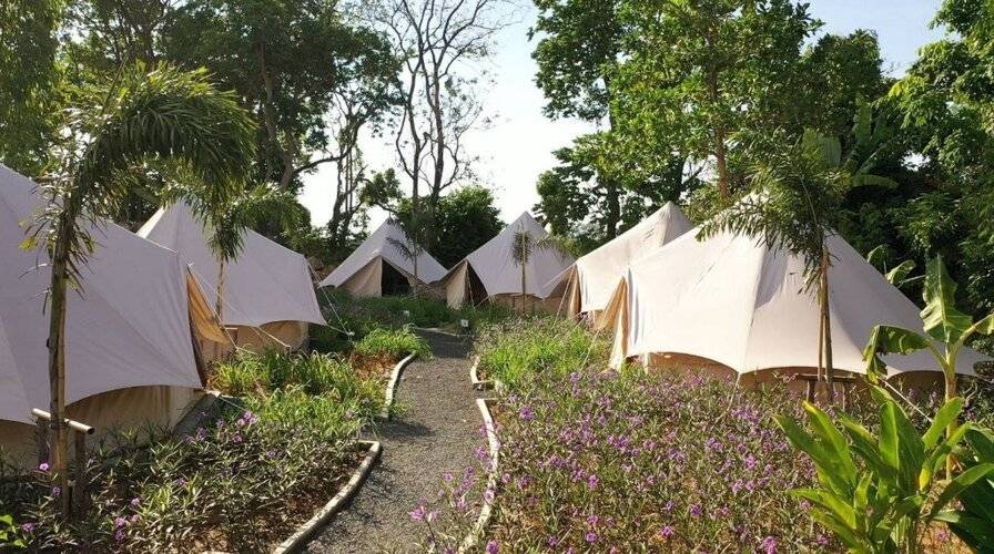 Roost Glamping