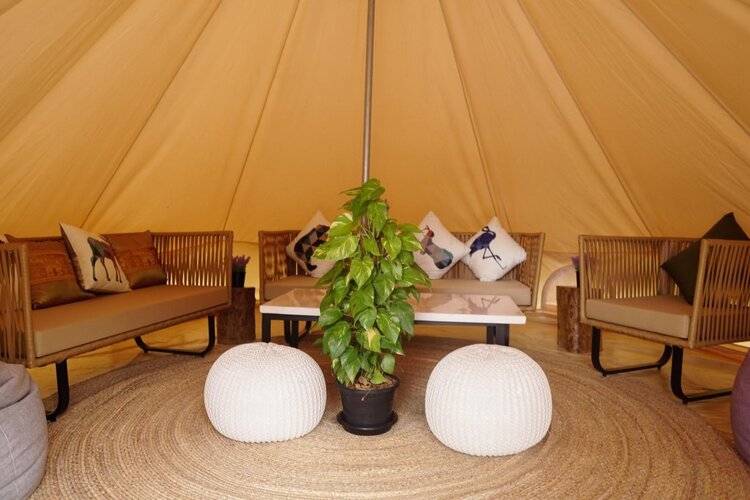 Roost Glamping