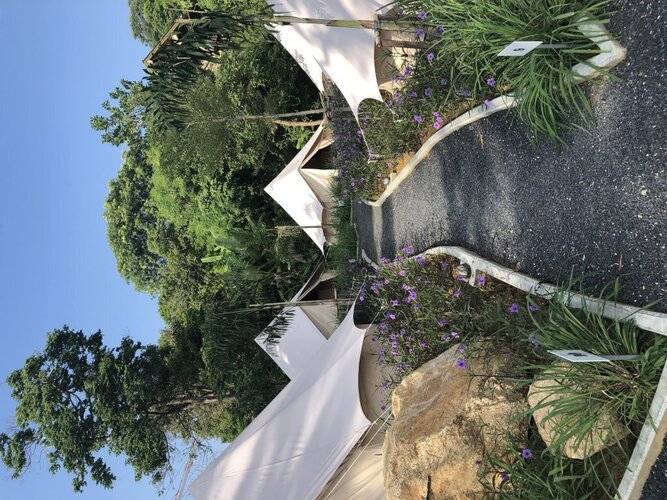 Roost Glamping