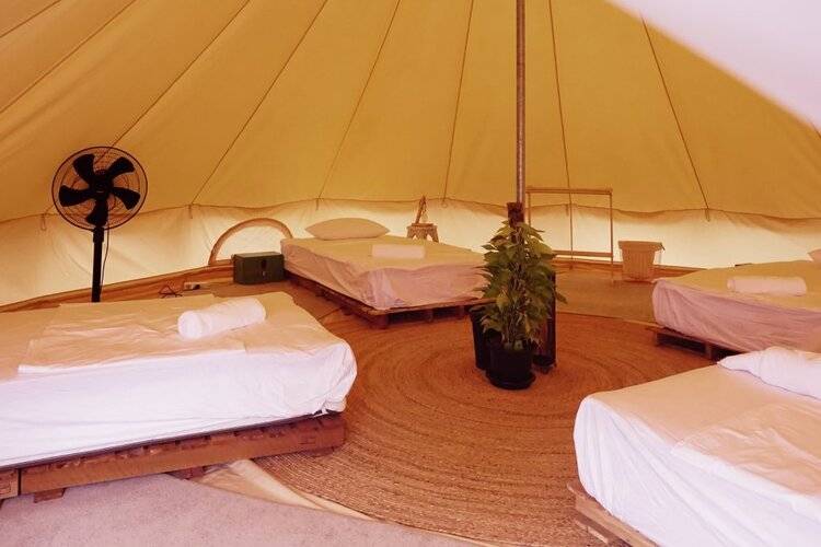 Roost Glamping