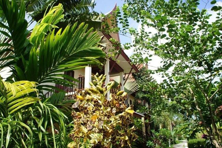 Palm Village