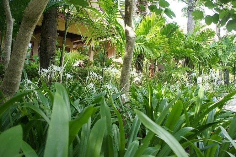 Palm Village