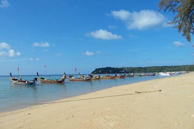Palm Village
