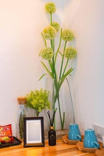 The Seaton House Phuket