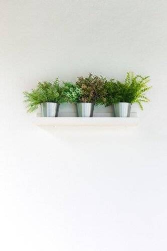 The Seaton House Phuket