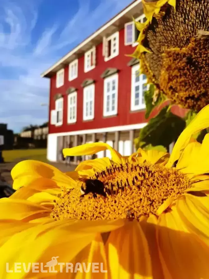 Oslo Hostel Renningen