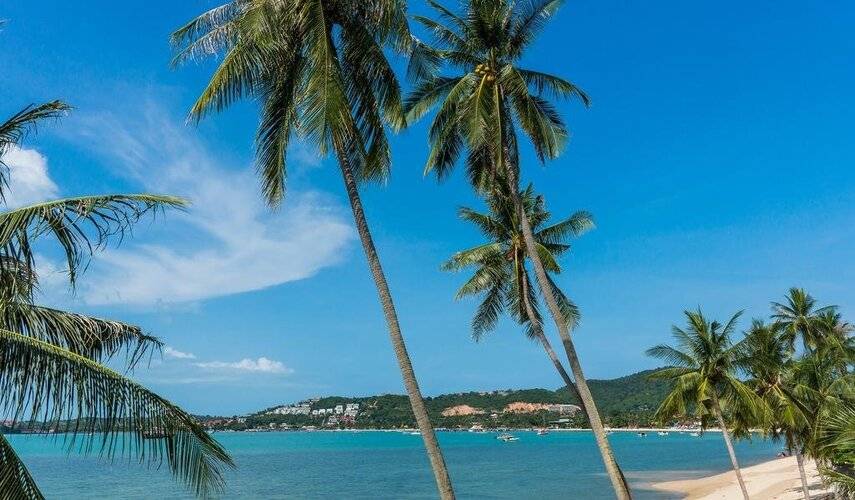 B House Samui