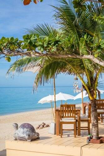 Курортный отель Lamai Coconut Beach