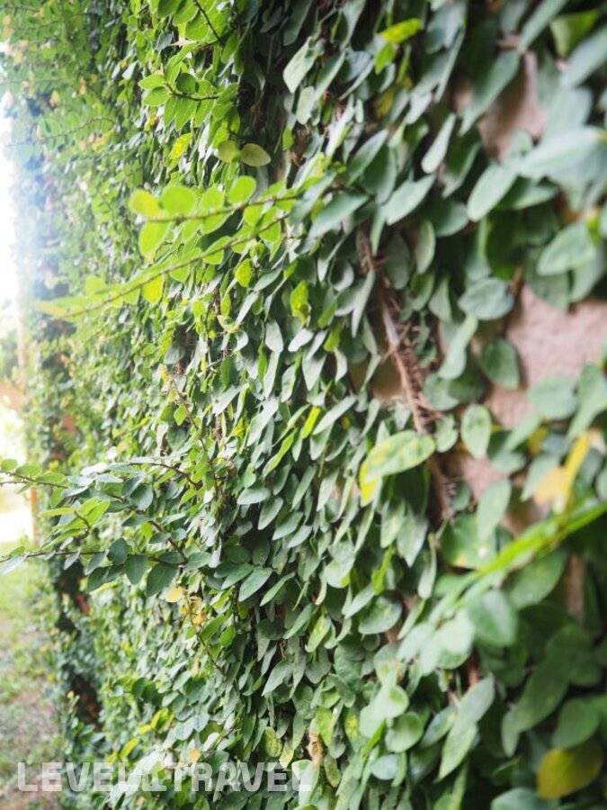 фотографии отеля The Spa Garden Samui в Таиланд(Ламай Бич) - фото №24