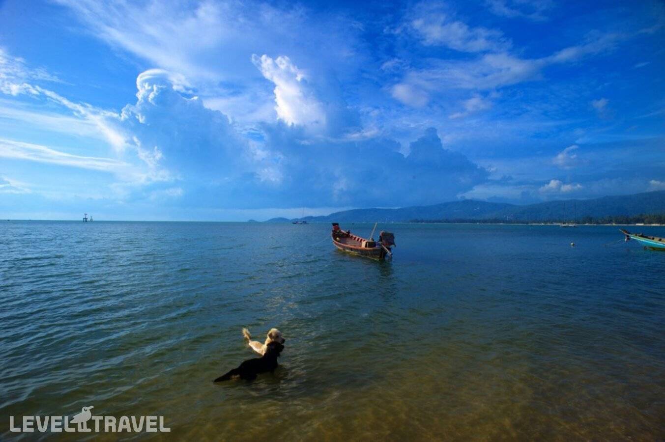 фотографии отеля Samui Haus в Таиланд(Липа Ной Бич) - фото №30