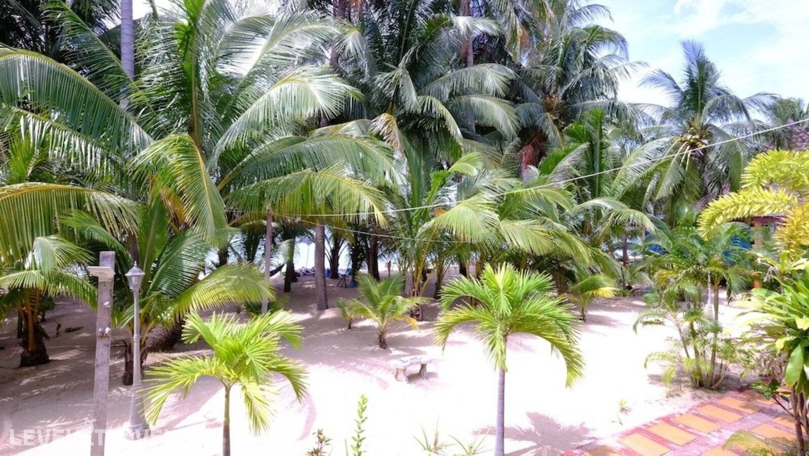 фотографии отеля Lolita Bungalow в Таиланд(Маенам Бич) - фото №49