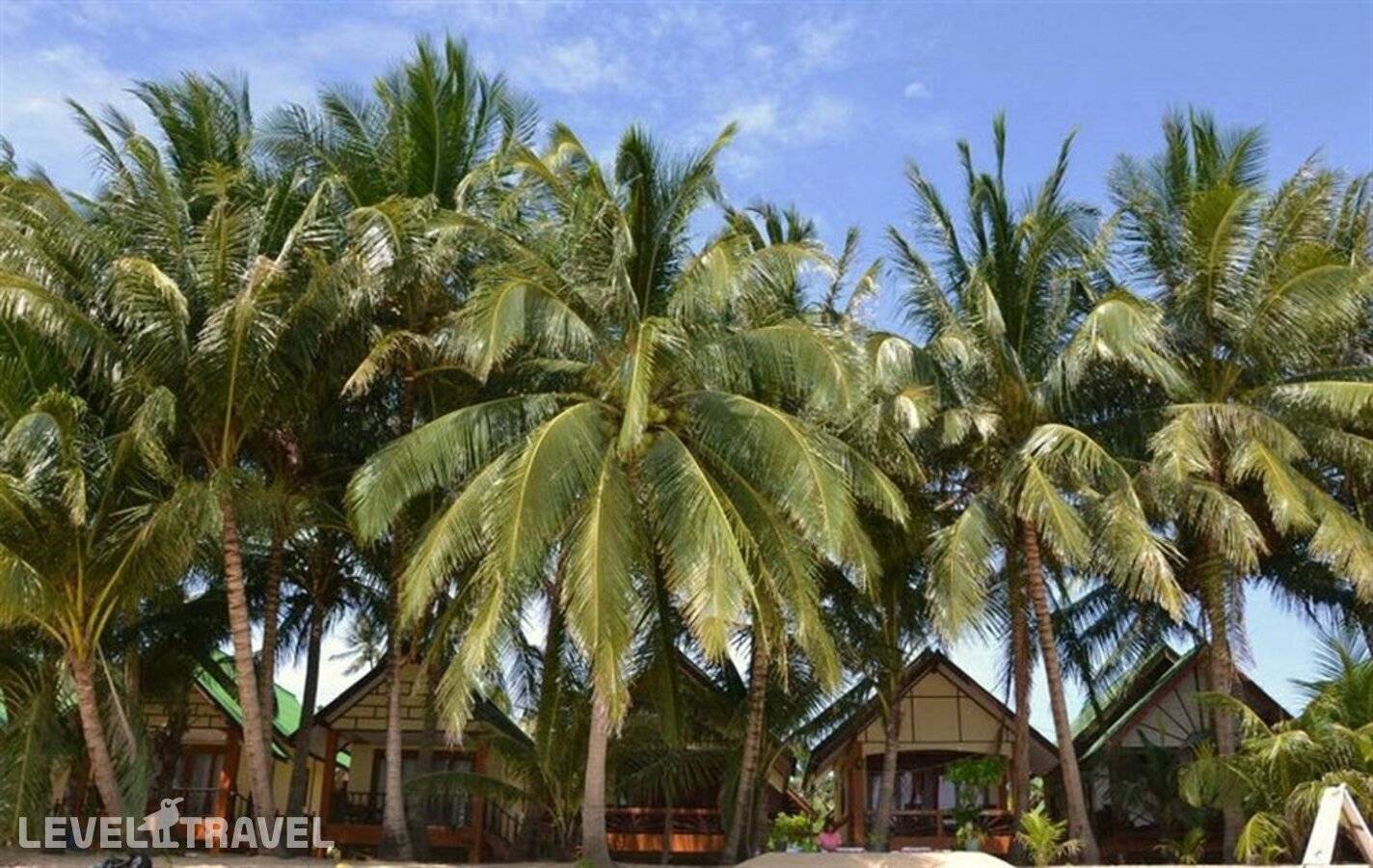 фотографии отеля Lolita Bungalow в Таиланд(Маенам Бич) - фото №24