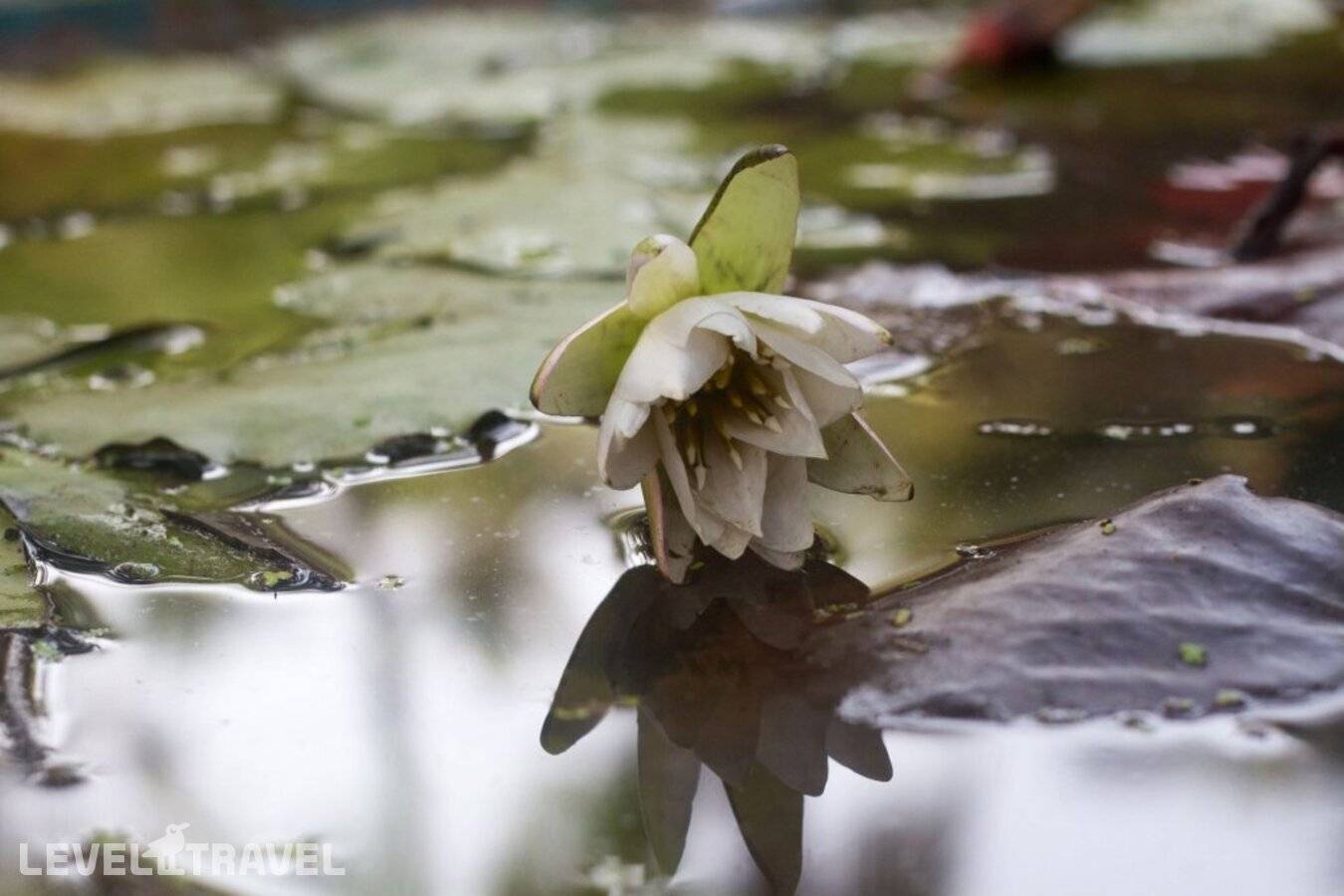 фотографии отеля Palm Trees Ayurvedic Heritage в Индия(Патнем) - фото №8