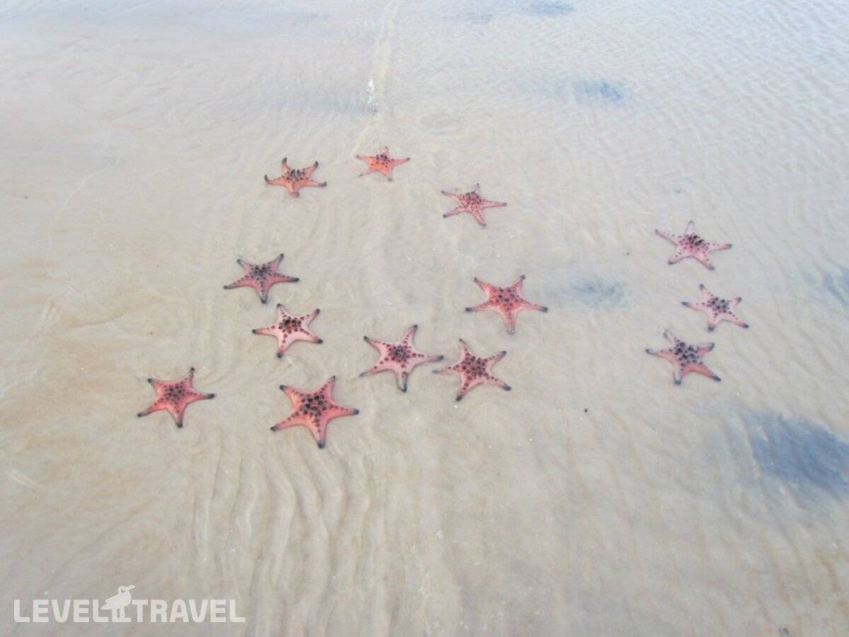 фотографии отеля Mango Beach Resort в Вьетнам(Фукуок) - фото №34