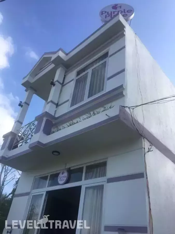Purple Place Homestay - Hostel