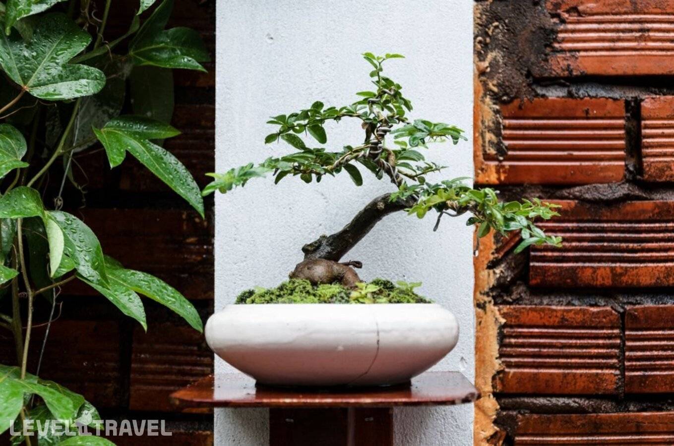 фотографии отеля Ngoc Qui Bungalow (Adults Only 18+) в Вьетнам(Фукуок) - фото №9