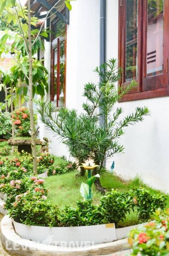 фотографии отеля Ngoc Qui Bungalow (Adults Only 18+) в Вьетнам(Фукуок) - фото №15