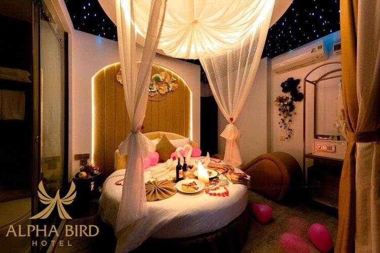 Alpha bird nha trang