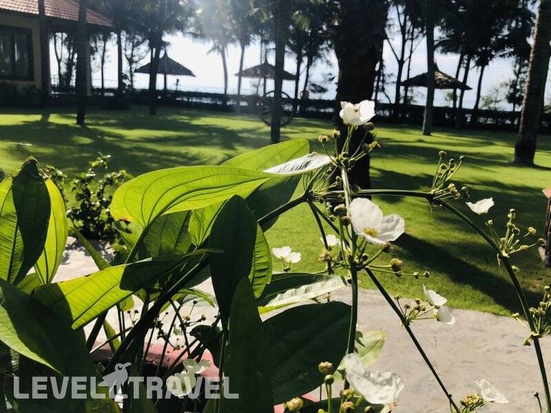 Фотография Sunny Beach Resort and Spa