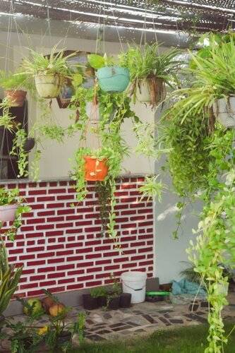 Doi Dua Homestay