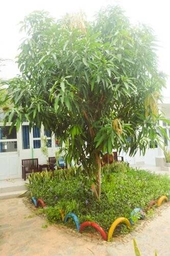 Doi Dua Homestay