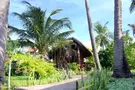 Little Muine Cottage