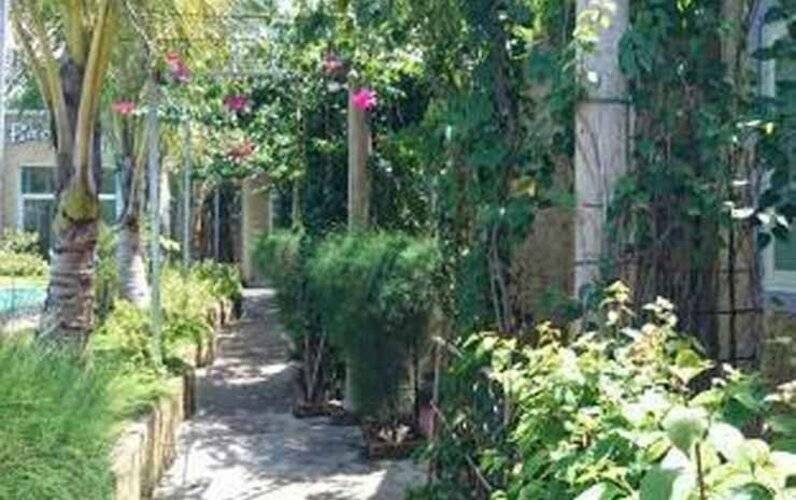Muine Sunlight Villa