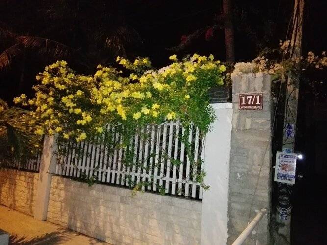The House 17 1