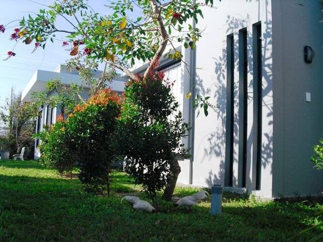 Van Nguyen Minihouse