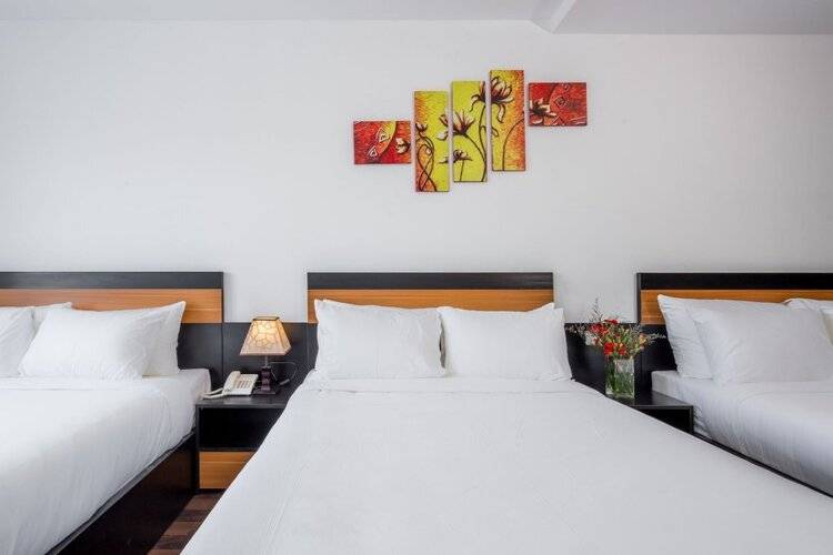 Platinum Danang Hotel