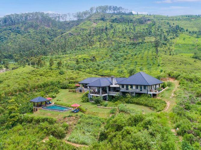 Camellia Hills