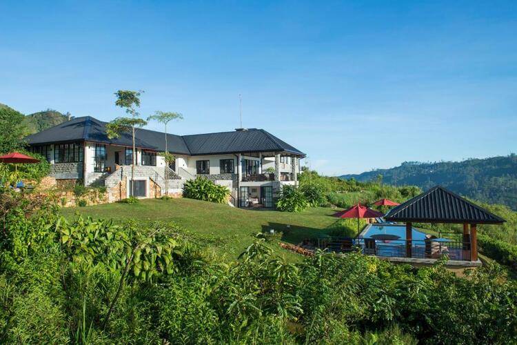 Camellia Hills