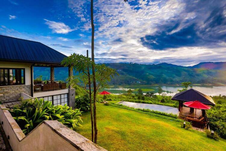 Camellia Hills