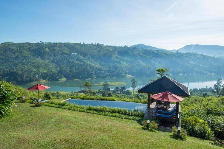 Camellia Hills