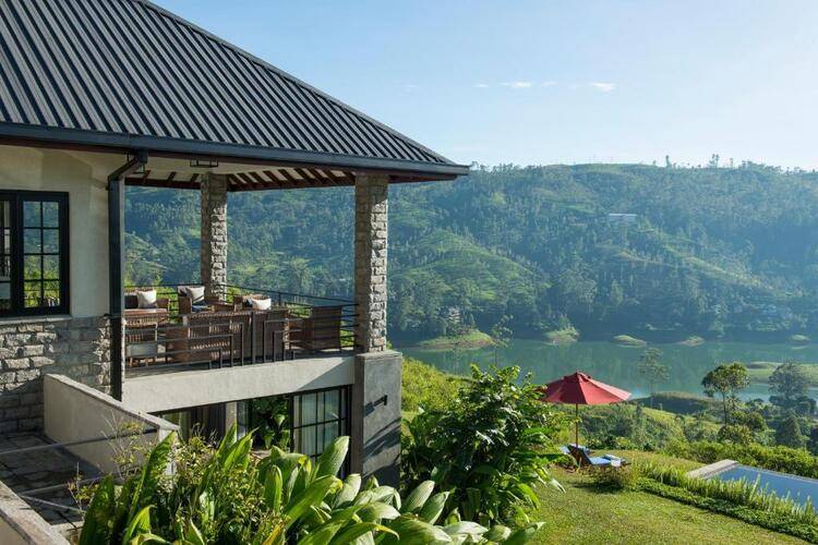 Camellia Hills