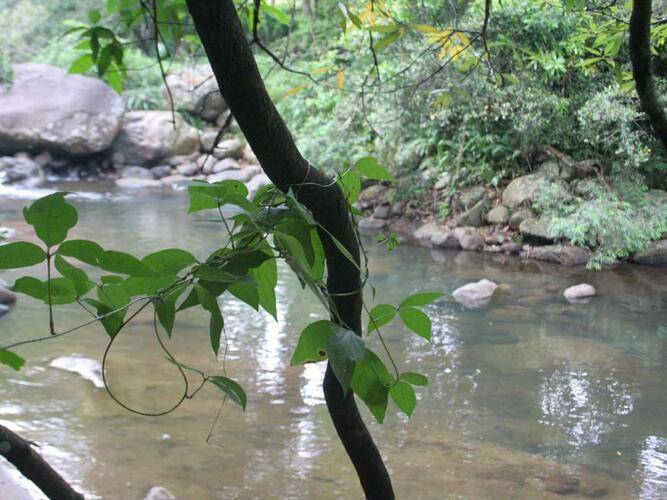 River Garden Resort