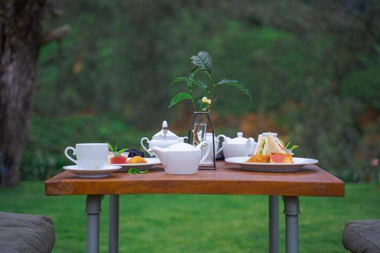 Tea & Experience Factory