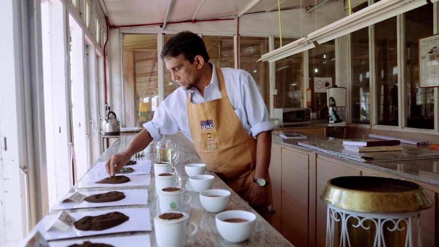 Tea & Experience Factory
