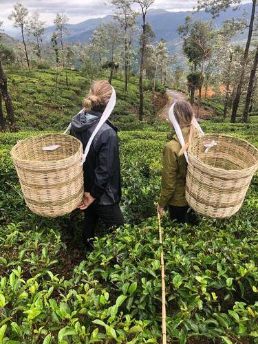 Tea & Experience Factory