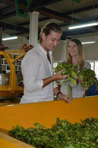 Tea & Experience Factory
