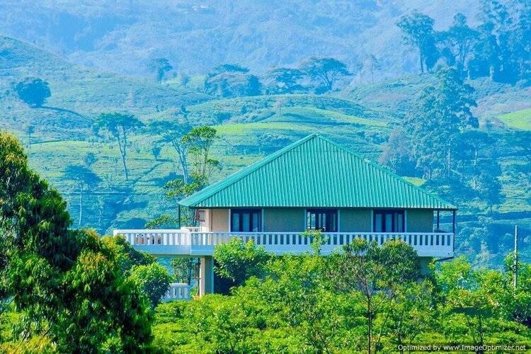 Tea Queens Bungalow