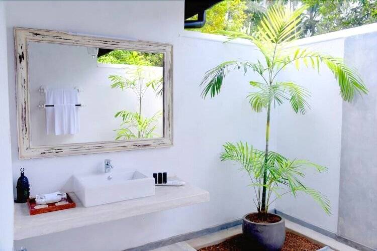 Ayurveda Villa 386