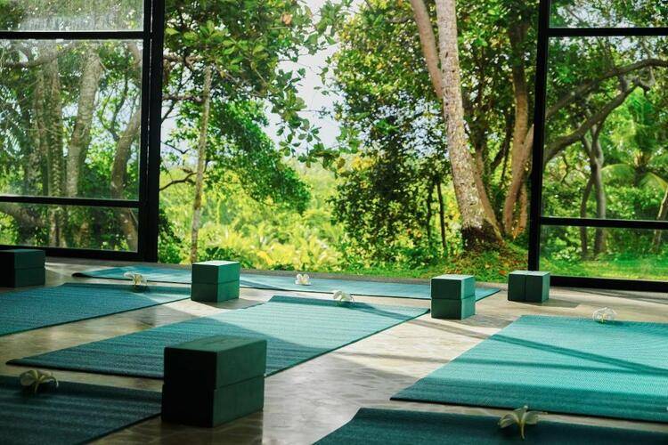 Samadara Estate, Midigama