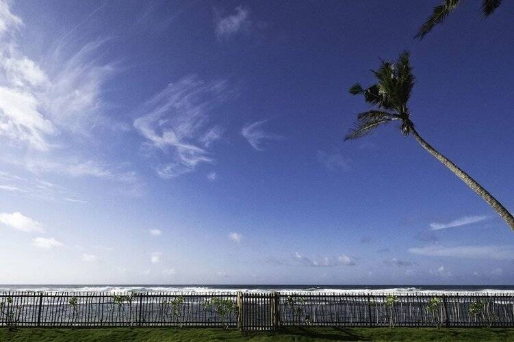 Tea Tree Villa