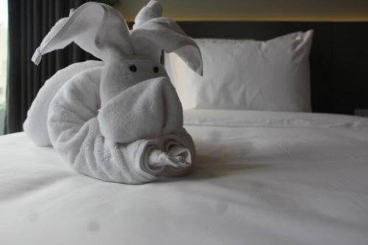 Everland Hotel