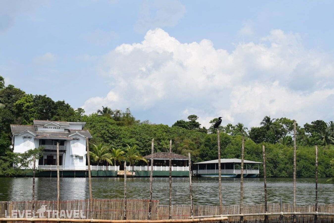 фотографии отеля Araliya Villa в Шри-Ланка(Балапития) - фото №2