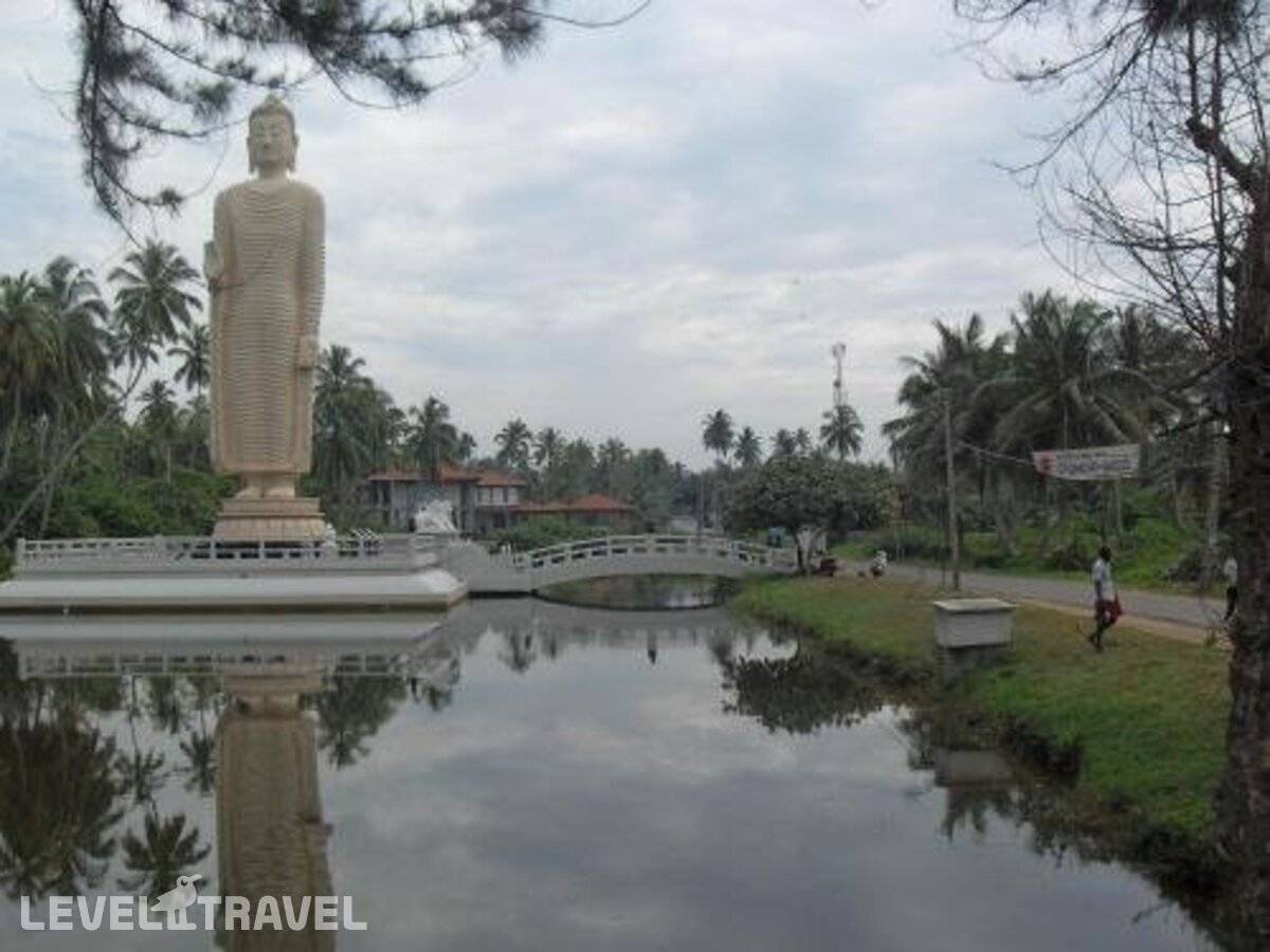 фотографии отеля Araliya Villa в Шри-Ланка(Балапития) - фото №3