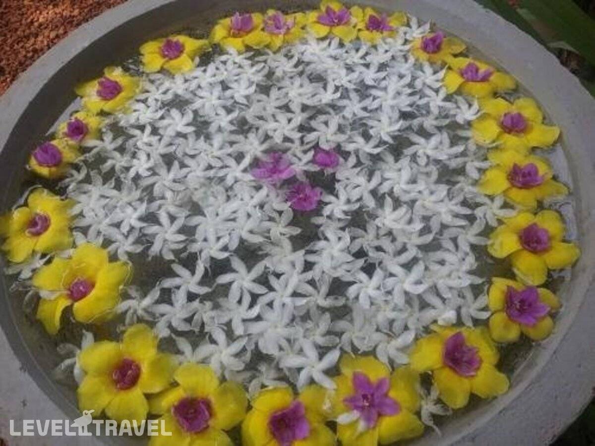 фотографии отеля Araliya Villa в Шри-Ланка(Балапития) - фото №16